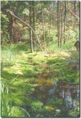 Krajinski park Rački ribniki - Požeg 6